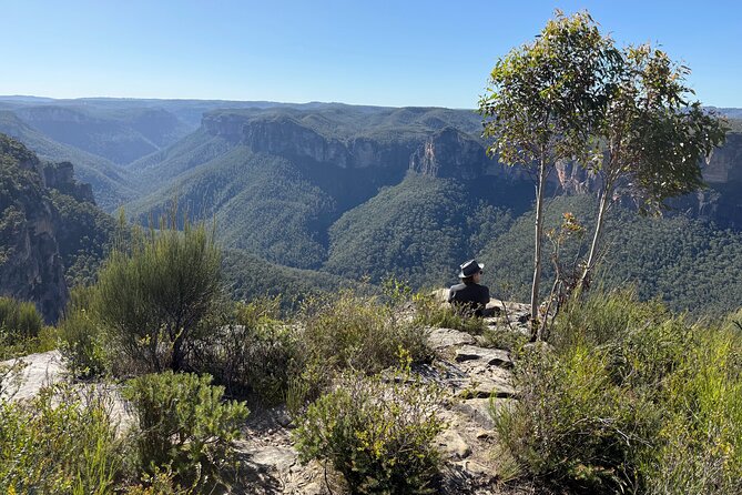 Intimate Blue Mountains Wild Kangaroos & Sunset for Nature Lovers - Leura’s quiet streets and the Three Sisters