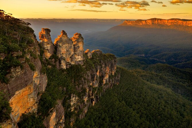 Intimate Blue Mountains Wild Kangaroos & Sunset for Nature Lovers - From Sydney to the sandstone highlands