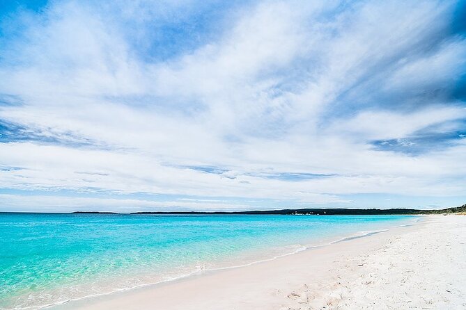 Jervis Bay Tour with Dolphins, Kangaroos & World's Whitest Beach - Why Jervis Bay makes a strong day trip from Sydney