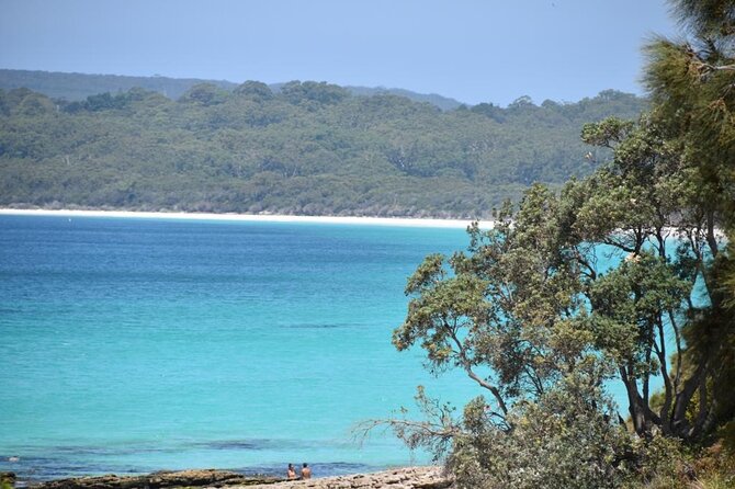 Jervis Bay Tour with Dolphins, Kangaroos & World's Whitest Beach - What the price includes, and where the value lies