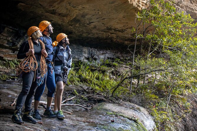 Juggler Canyon and Abseiling Adventure Blue Mountains - Five more abseils in the Grose Valley