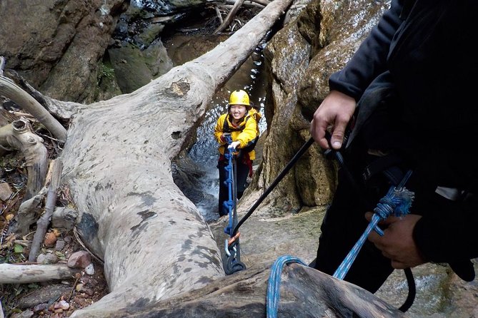 Juggler Canyon and Abseiling Adventure Blue Mountains - The 45-minute walk back to the car