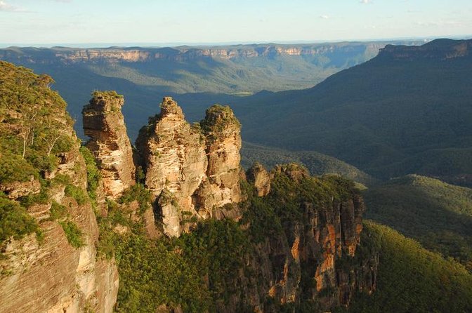 Kangaroo Wildlife Half Day Small Group Tour From Sydney - Lake Macquarie and the search for free-ranging wildlife