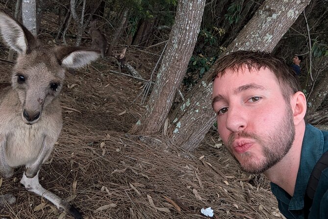 Kangaroo Wildlife Half Day Small Group Tour From Sydney - What the small group changes