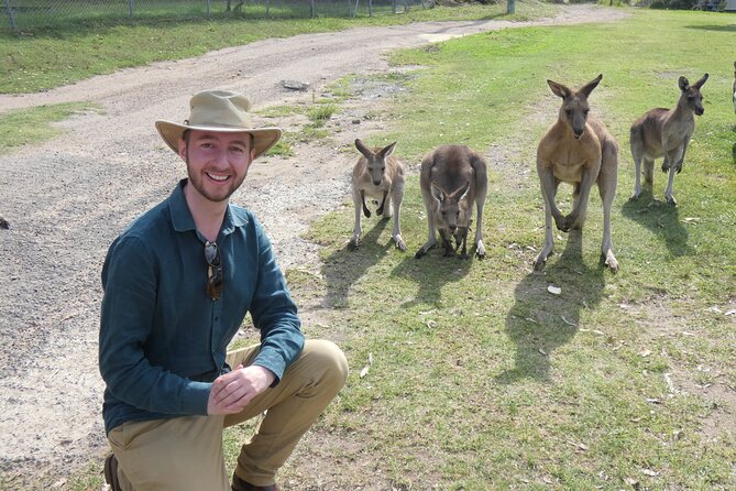 Kangaroo Wildlife Half Day Small Group Tour From Sydney - Brooklyn and the Hawkesbury River