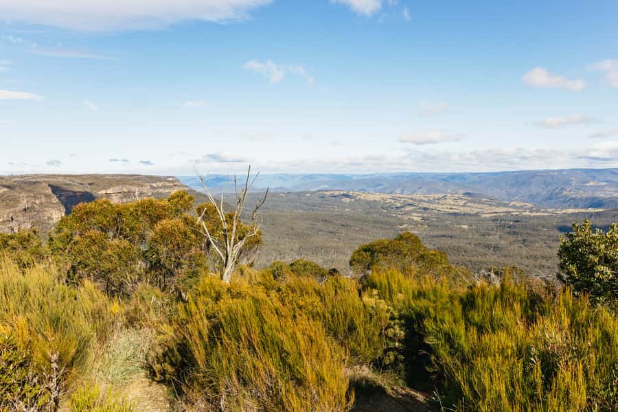Katoomba: Lyrebird Hop-On Hop-Off and Scenic World Pass - Key points to know before you go