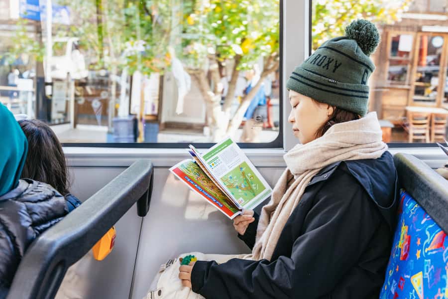Katoomba: Lyrebird Hop-On Hop-Off and Scenic World Pass - Accessibility, queues, and small practical concerns