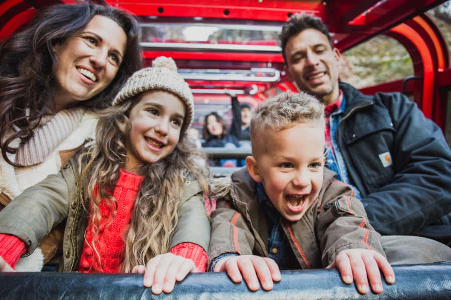 Katoomba: Scenic World 1-Day Unlimited Discovery Pass - Key points to know