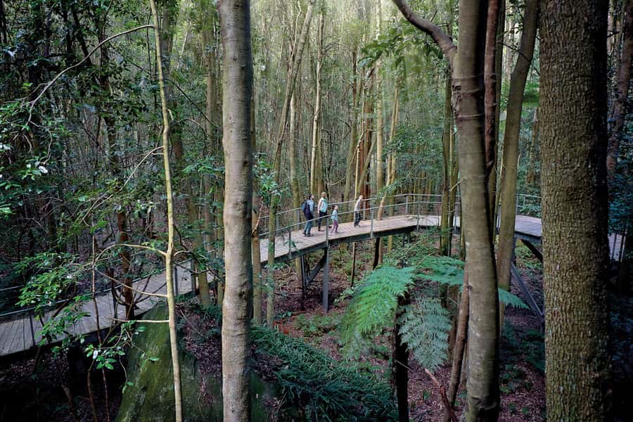Katoomba: Scenic World 1-Day Unlimited Discovery Pass - What the $43 pass is really worth