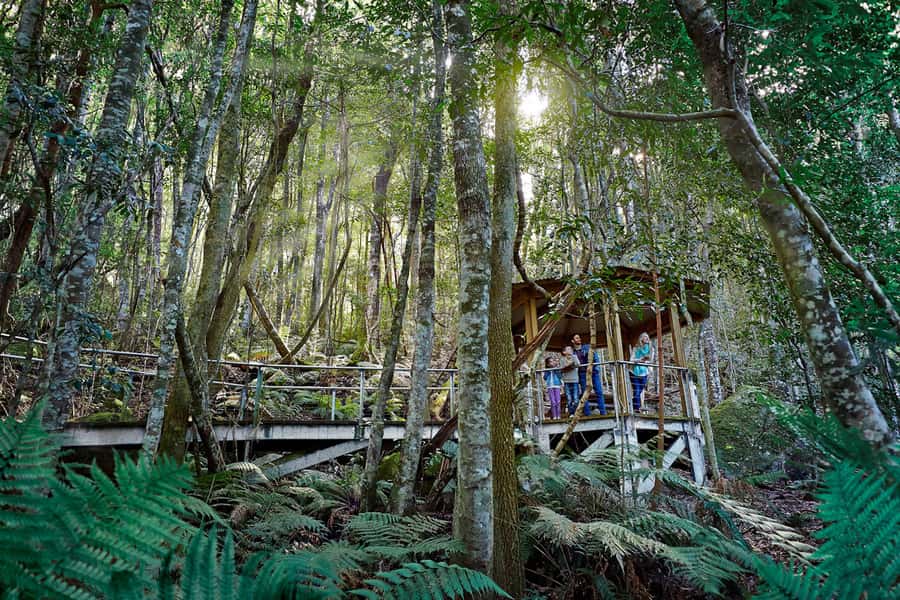 Katoomba: Scenic World 1-Day Unlimited Discovery Pass - Should you book the Scenic World pass?