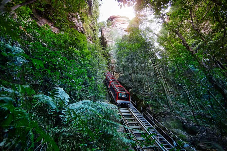 Katoomba: Scenic World 1-Day Unlimited Discovery Pass - Take your time on the Scenic Walkway