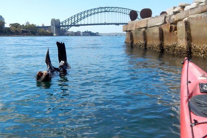 Kayak to Goat Island in Sydney Harbour with Local - Landing on Goat Island, or Memel