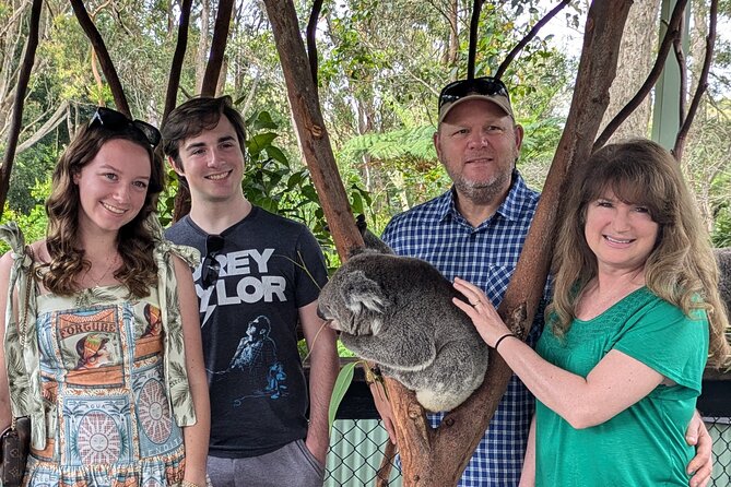 Koala & Kangaroos Experience, Waterfalls and Scenic Train Journey - Key points to know before booking