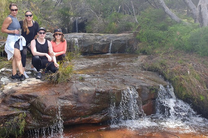 Koala & Kangaroos Experience, Waterfalls and Scenic Train Journey - Is $405.24 per person good value?