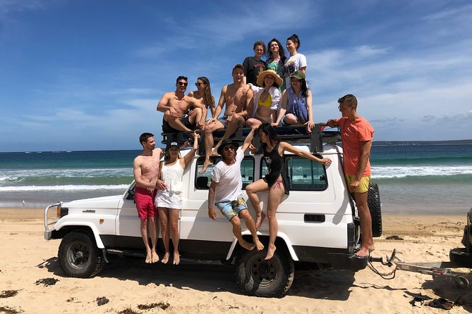 Learn to Surf Day Trip - Sydney - What the beach setting adds, and what it cannot fix