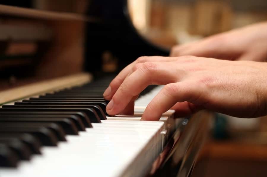 Lunch Cruise with Live Jazz on Sydney Harbour - Practical advice for making the afternoon work