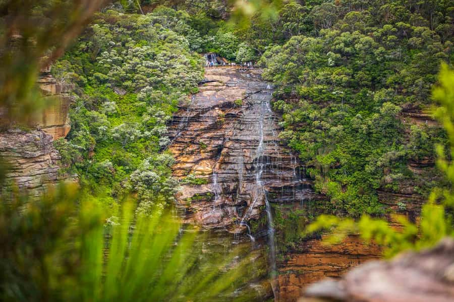 Luxury Blue Mountains Escape The Crowds Tour - Key points at a glance