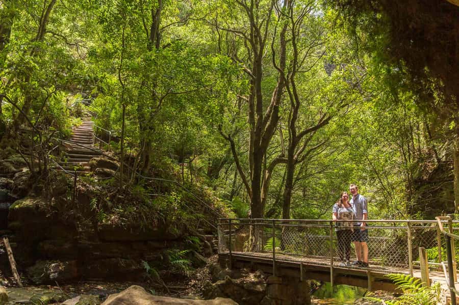 Luxury Blue Mountains Escape The Crowds Tour - Is $849 good value?