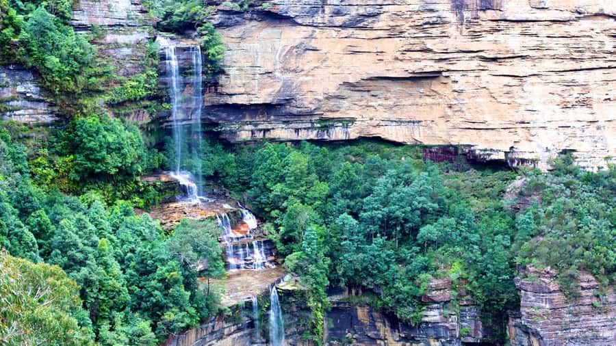 Luxury Blue Mountains Escape The Crowds Tour - A comfortable ride from Sydney