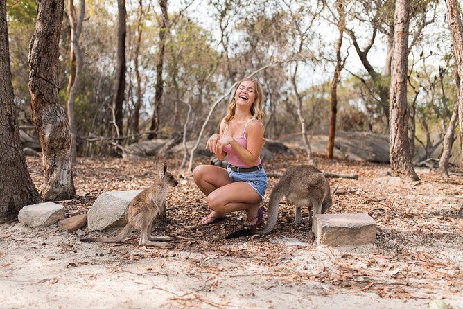 Luxury Hunter Valley Wildlife & Wine Tasting Tour from Sydney - Should you book the wildlife and wine tour?