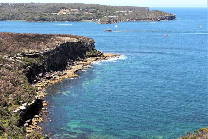 Manly and more private tour - Why this private beach tour works