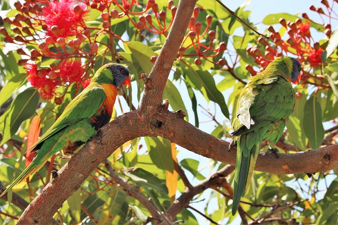 Manly and more private tour - Lunch and pacing make the day easier