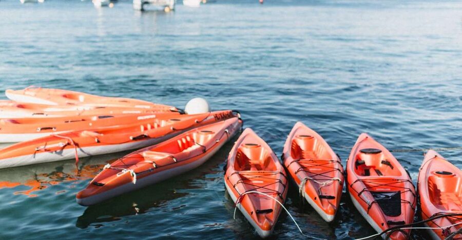 Manly: Mini Kayak Tour on Sydney's North Harbour - Meeting at West Esplanade in Manly