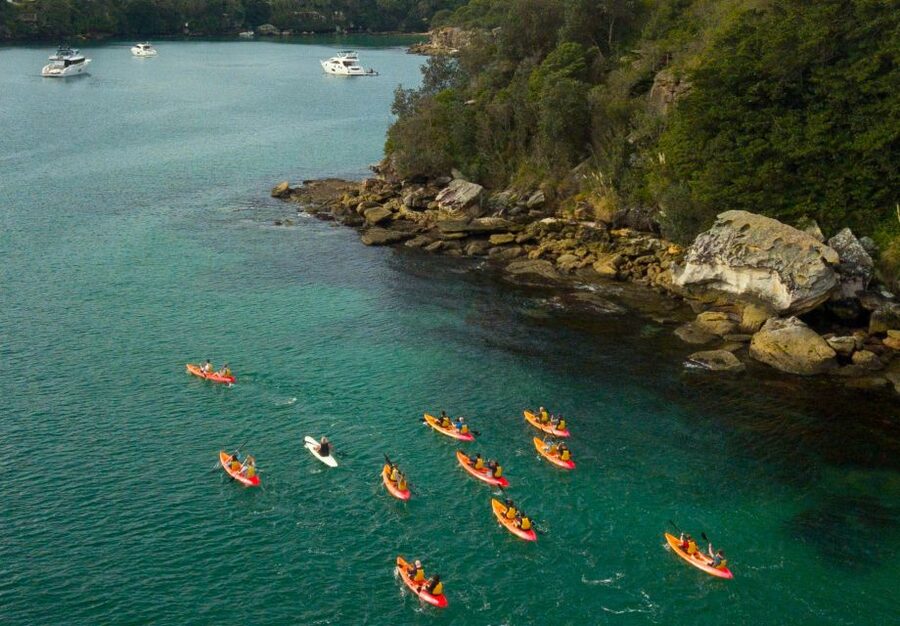 Manly: Mini Kayak Tour on Sydney's North Harbour - What $43 buys you