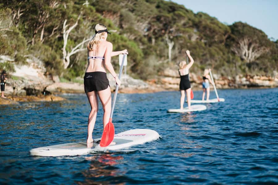 Manly Stand Up Paddle Board Hire - Four beaches, each reached from a different angle