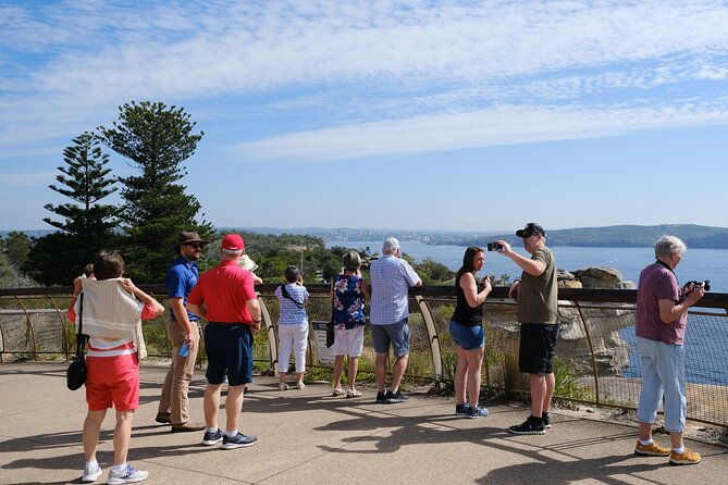 Morning or Afternoon Half-Day Sydney City Sightseeing Tour - Rose Bay, Double Bay, and the eastern suburbs
