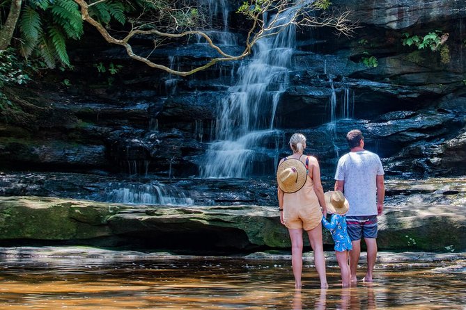 Nature and Wildlife: Australia in One Day - Private Tour - Wine, gin, oysters, and the final harbour view