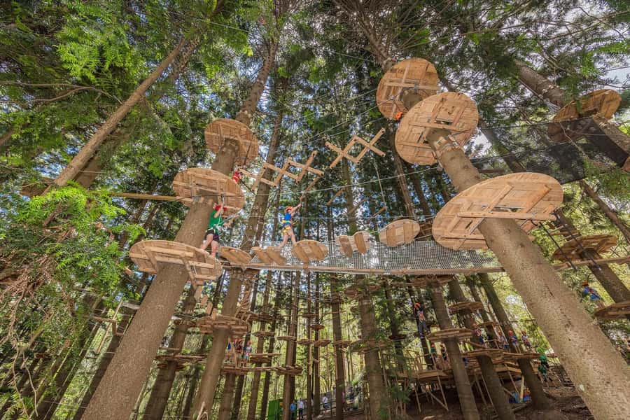 Pennant Hills: Tree Ropes Course Session - Four rope courses above Cumberland State Forest