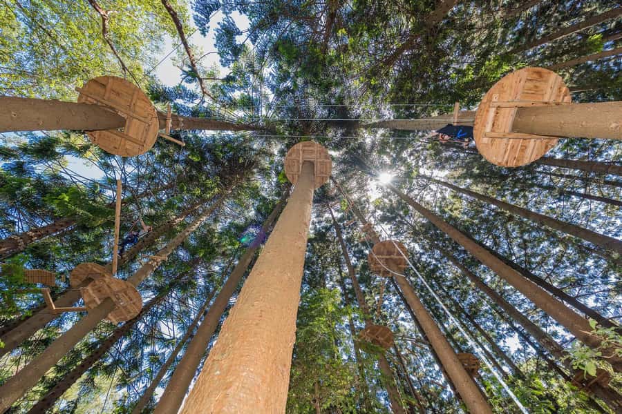 Pennant Hills: Tree Ropes Course Session - What happens from reception to the first obstacle