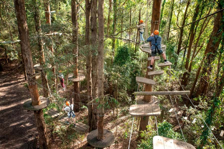 Pennant Hills: Tree Ropes Course Session - Choosing a course that fits your group