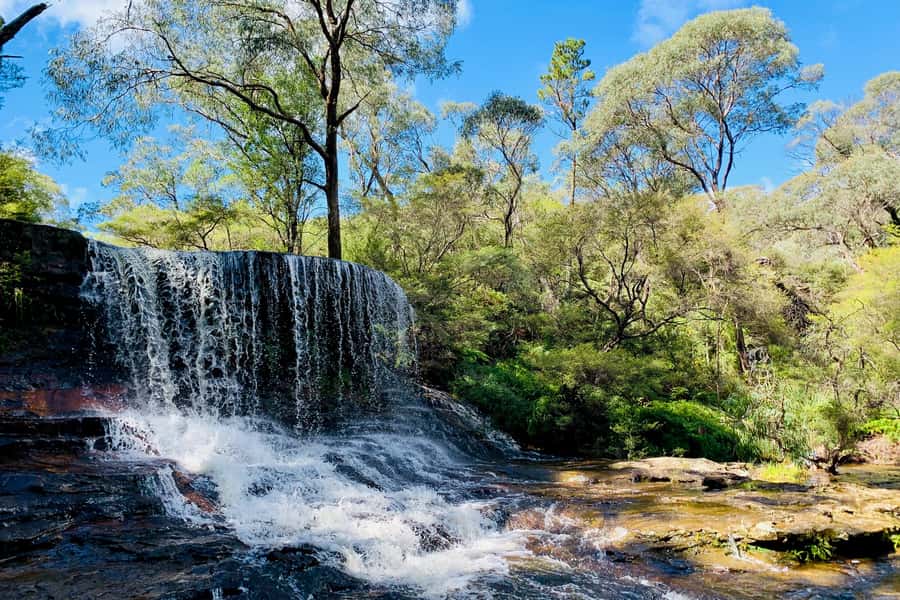 Personalised Blue Mountains Tour: Luxury Vehicles & Insights - The Three Sisters and Aboriginal stories