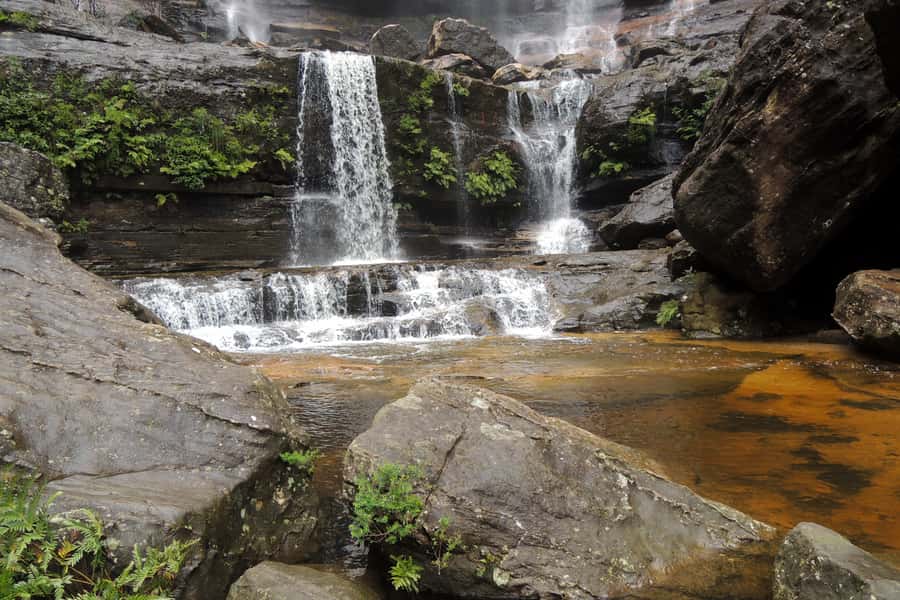 Personalised Blue Mountains Tour: Luxury Vehicles & Insights - What the $1,008 price really buys