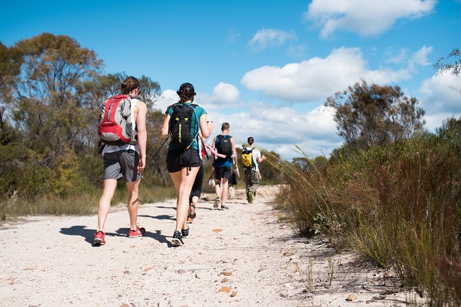Pittwater Discovery Kayaking Tour - The return paddle to Bayview