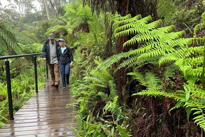 PJ Blue Mountains Supreme [Private Charter] - Leura Mall for Shops and Lunch