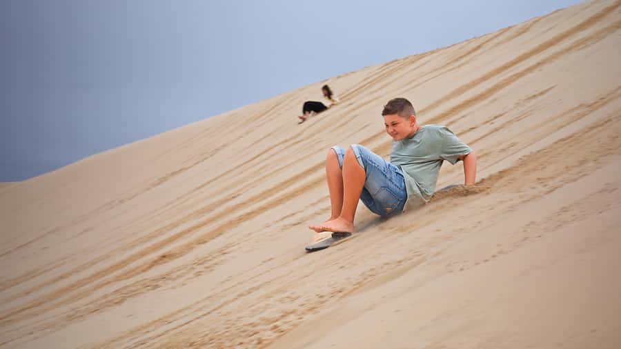 Port Stephens: Dolphin, Lunch, Koalas&Sandboarding -Mandarin - A short visit to Port Stephens Koala Sanctuary