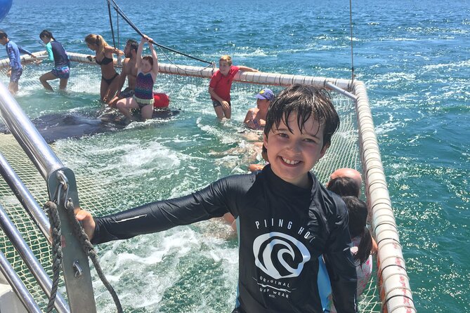 Port Stephens Private Tour From Sydney, with Dolphin/ Whale Cruise Options - Whale watching when the season is right