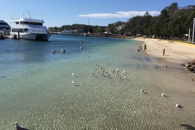 Port Stephens Private Tour From Sydney, with Dolphin/ Whale Cruise Options - Gan Gan Lookout and the Port Stephens view
