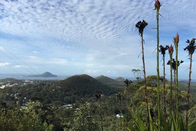 Port Stephens Private Tour From Sydney, with Dolphin/ Whale Cruise Options - Little Beach for photos and a quick swim