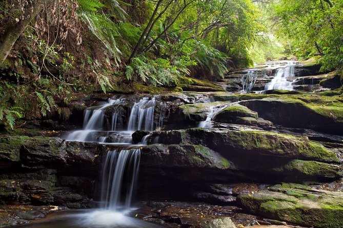 Private All Blue Mountains Day Tour - Scenic World and the four optional rides