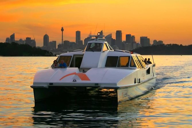 Private All Blue Mountains Day Tour - What the guides add to the day
