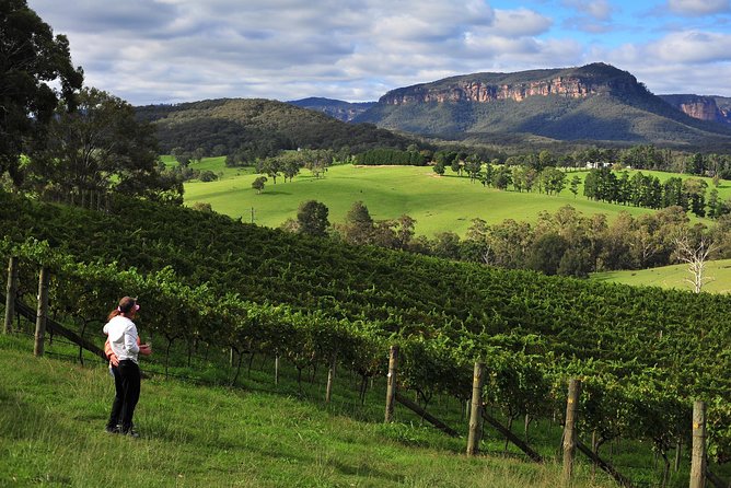 Private Blue Mountains and Winery Day-Trip from Sydney - Wentworth Falls and the best short walks