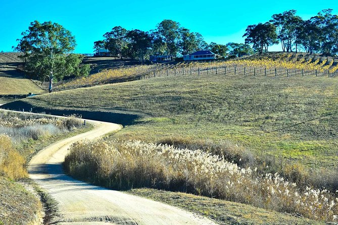 Private Blue Mountains and Winery Day-Trip from Sydney - The guides make the flexible format useful