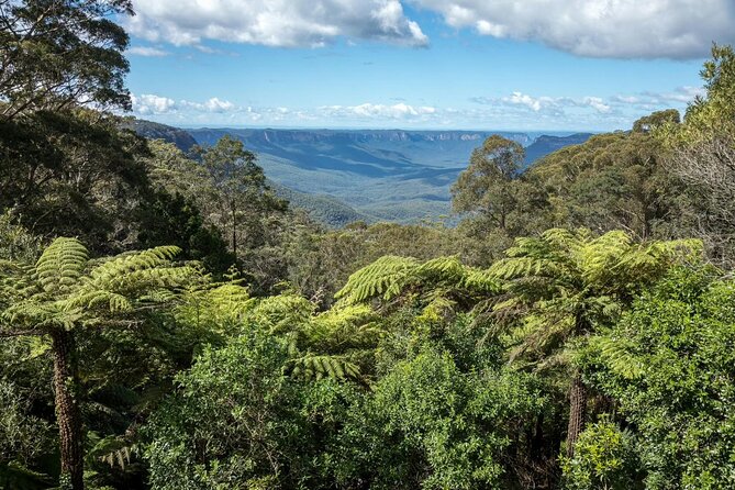 Private Blue Mountains Day Tour (avoid the crowds) - Featherdale brings Australian wildlife into the day
