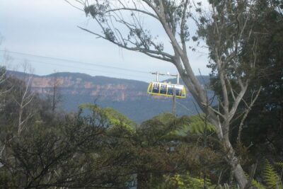 PRIVATE Blue Mountains day tour with local guide.