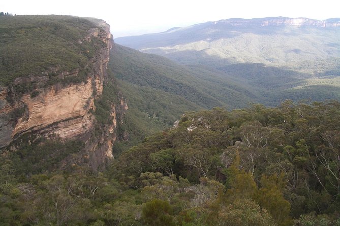 PRIVATE Blue Mountains day tour with local guide. - Leura, the garden village