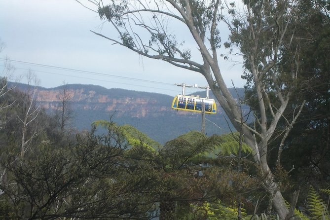 PRIVATE Blue Mountains day tour with local guide. - Featherdale Wildlife Park and Australia’s native animals